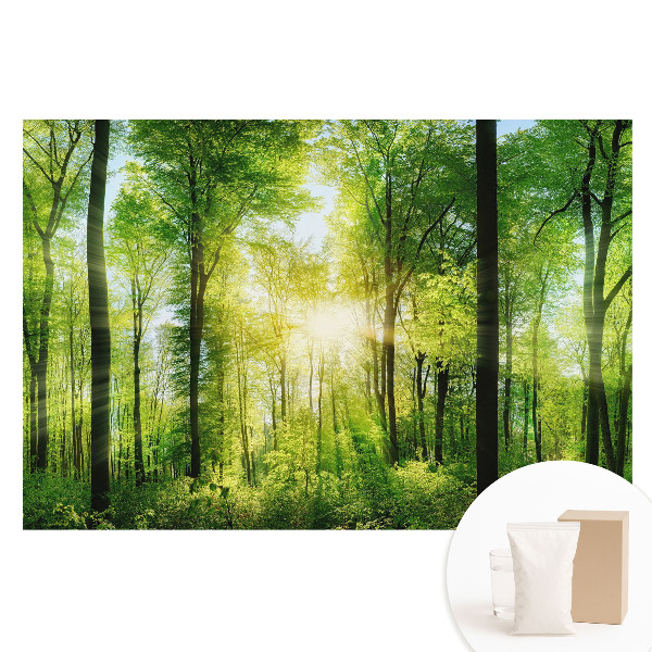 Netkaná tapeta Zelený les v slnečných lúčoch