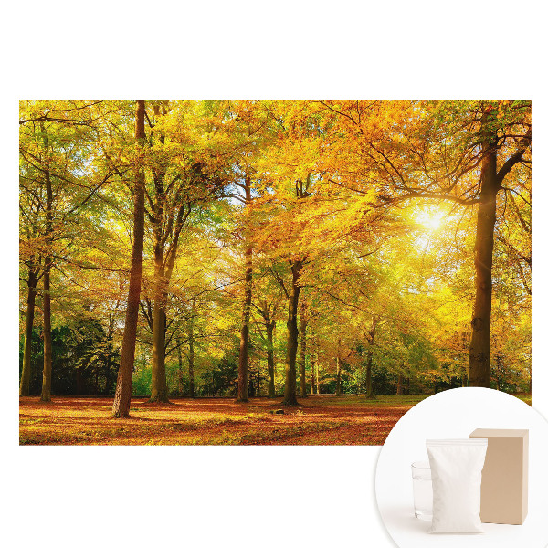 Fototapeta na netkanej textílii Jesenná panoráma lesa plného farebných listov