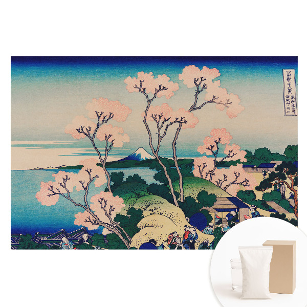 Netkaná fotografická tapeta Japonské jarné čaro krajiny