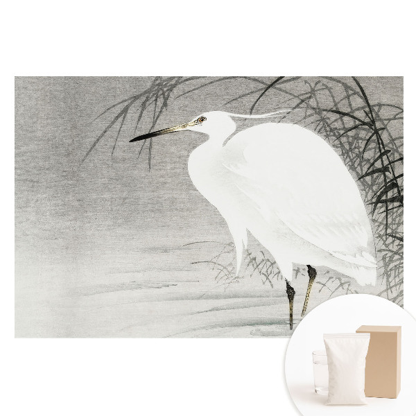 Fototapeta na netkanej textílii Volavka proti trstine