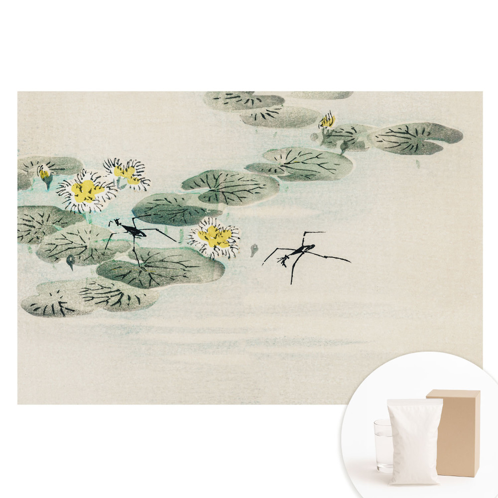 Netkaná fotografická tapeta Lekná proti vode