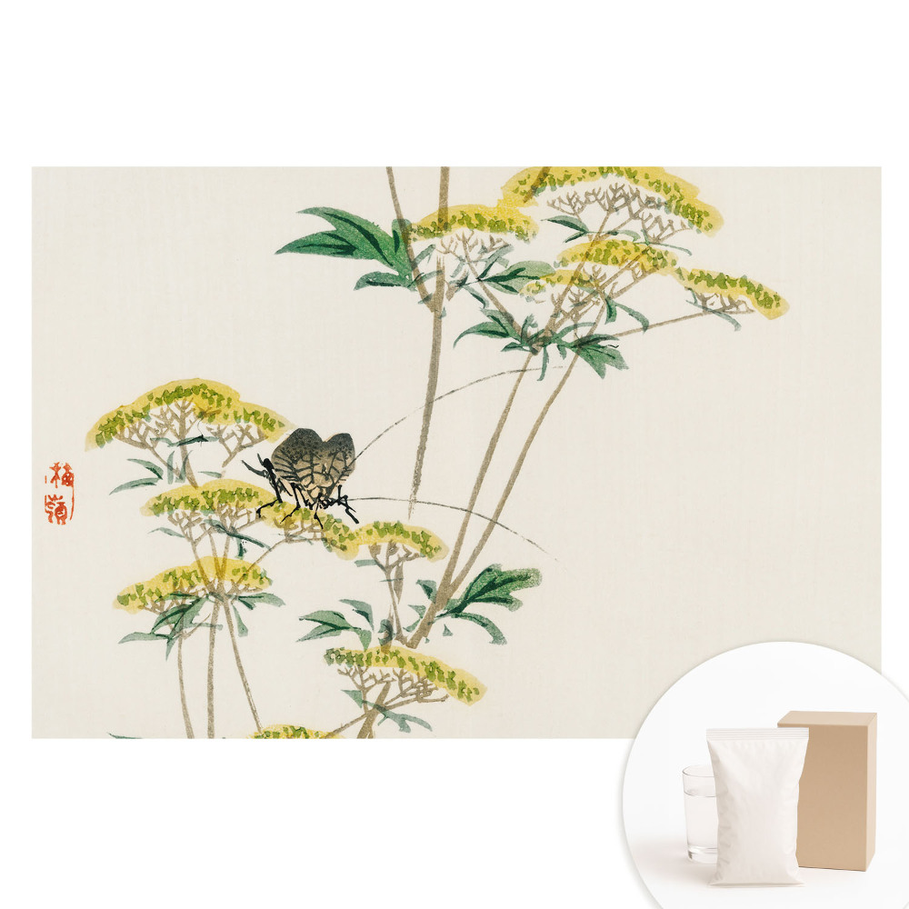 Netkaná tapeta s potlačou Jemné kvety hmyz harmónia príroda