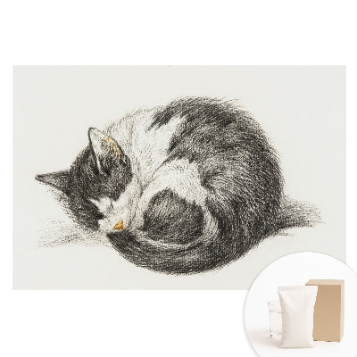 Fototapeta na netkanej textílii Centrálna ilustrácia spiaceho mačiatka