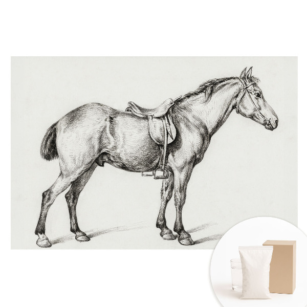 Netkaná fotografická tapeta Realistický kôň so sedlom