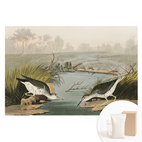 Netkaná tapeta s potlačou Vtáky pri jazere, harmónia prírody