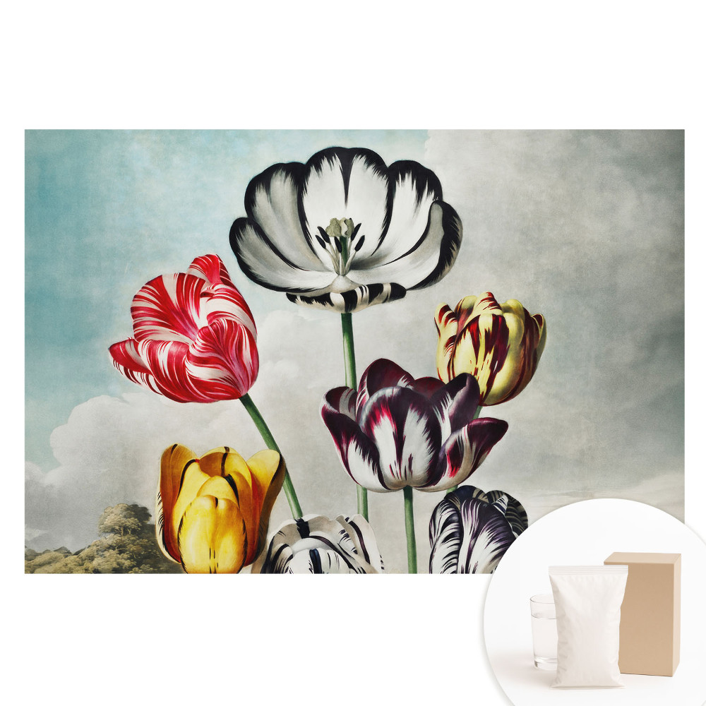 Netkaná tapeta Kytica tulipánov v štýle klasickej elegancie
