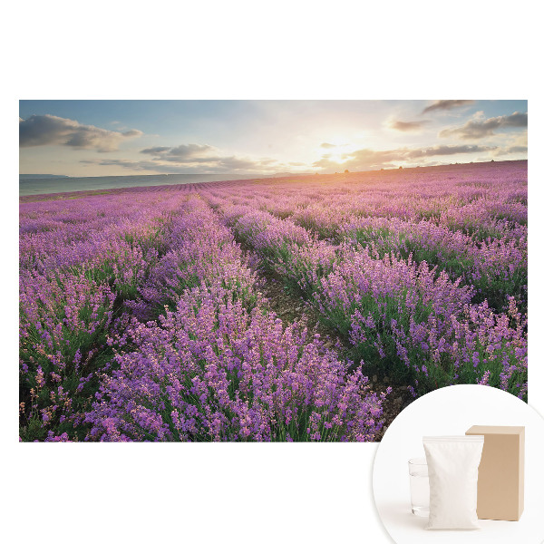 Fototapeta na netkanej textílii Fialový levanduľový západ slnka