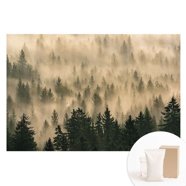 Netkaná fotografická tapeta Les v rannej hmle