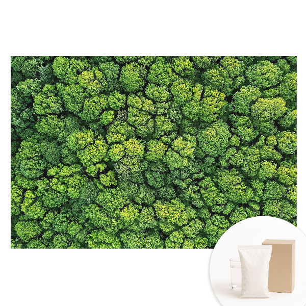 Veľkoplošná fototapeta na stenu Zelený les zhora