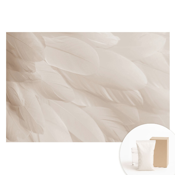 Fototapeta na netkanej textílii Jemné pierka, harmonické zloženie