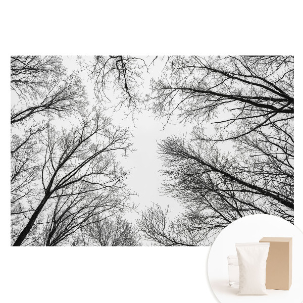 Fototapeta na netkanej textílii Čiernobiele zimné stromy