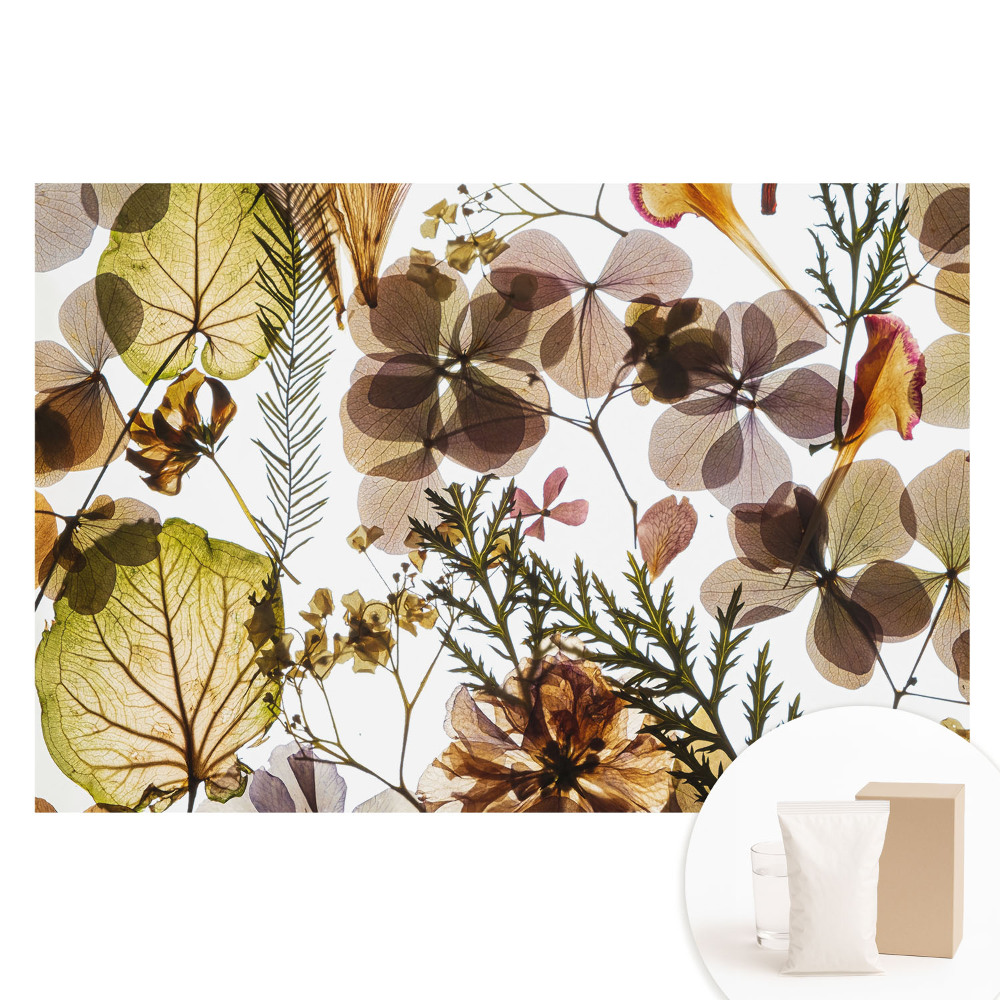 Fotografická tapeta na netkanej textílii Sušené listy a kvety v boho štýle