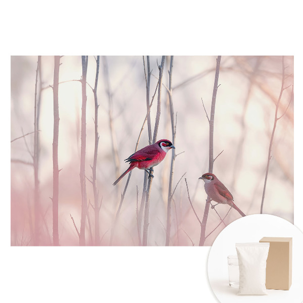 Fototapeta s potlačou na netkanej textílii Roztomilé vtáky v ružovom lese
