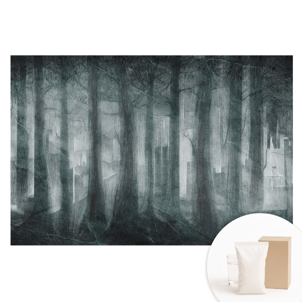 Fotografická tapeta na netkanej textílii Mestská záhada v súkromí lesa