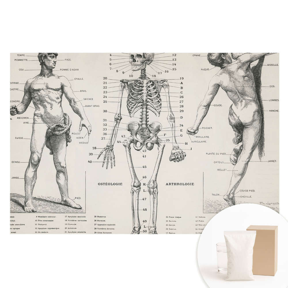 Netkaná tapeta s anatomickými ilustráciami v retro štýle