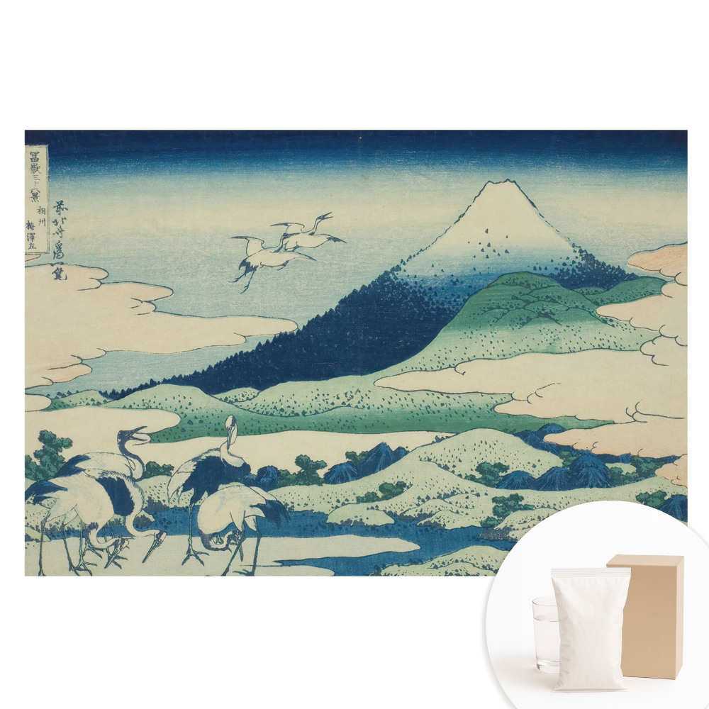 Fototapeta na netkanej textílii Klasická japonská horská krajina.