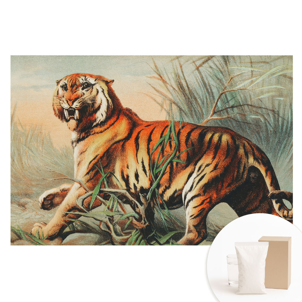 Netkaná tapeta s potlačou Majestátny tiger v divokom prostredí