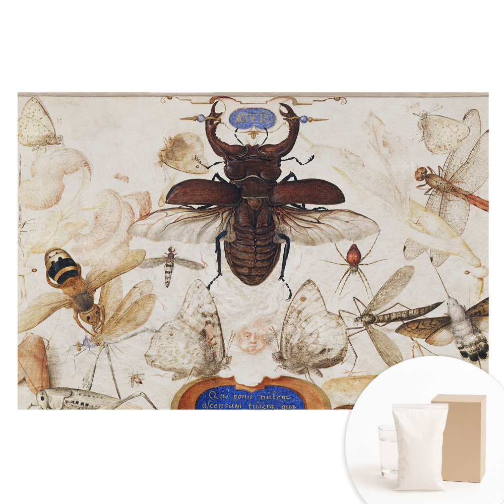 Fotografická tapeta na netkanej textílii Hmyz motýle pavúk klasická symetria