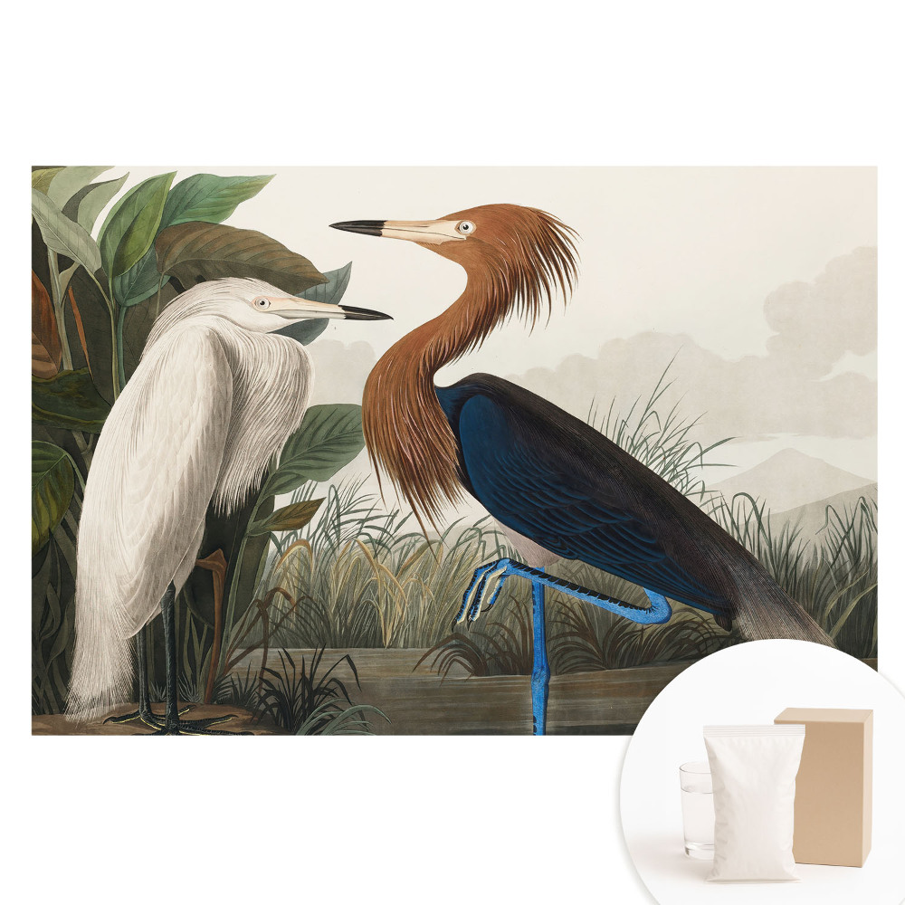 Netkaná tapeta Elegantné vtáky vo vegetácii