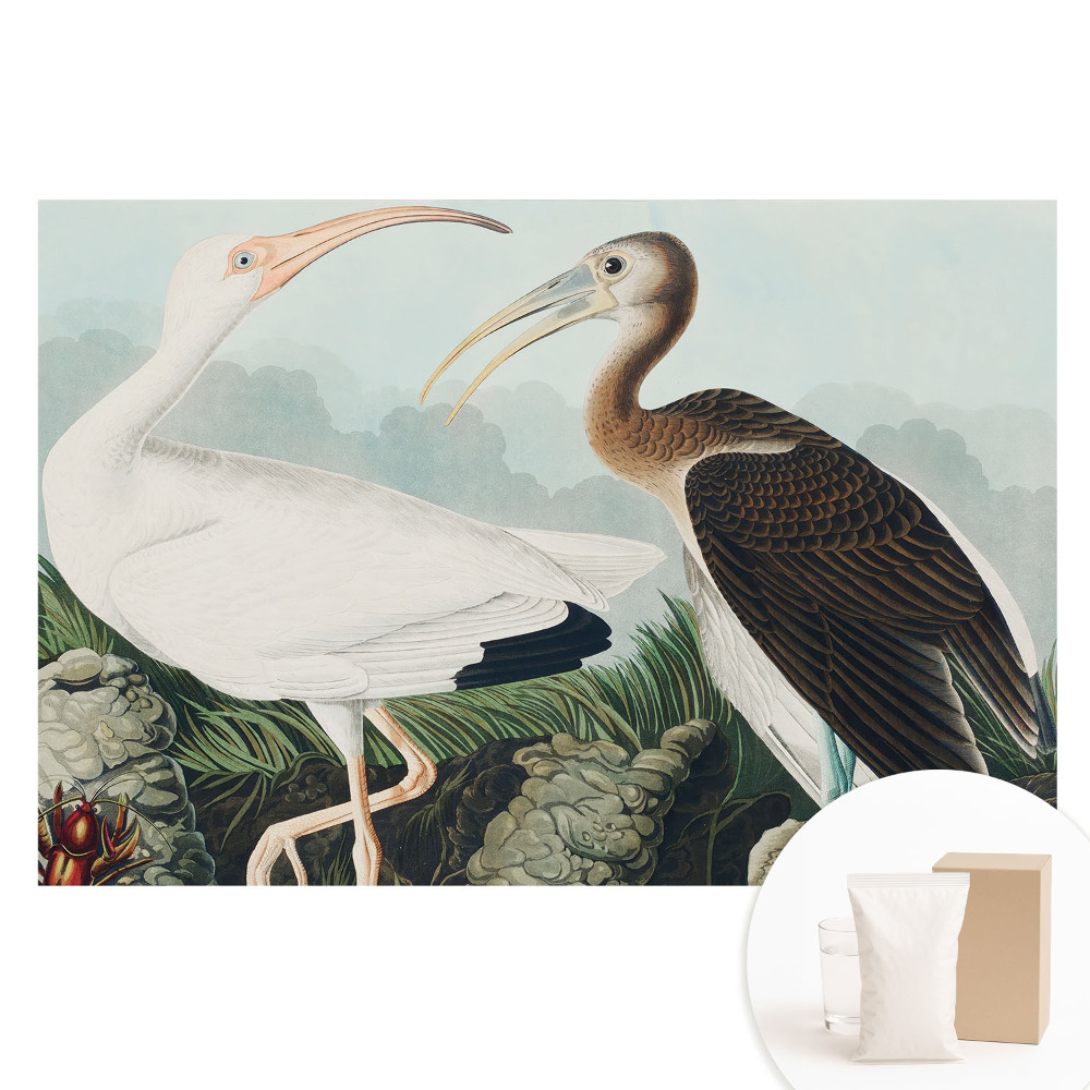 Netkaná tapeta s potlačou Dva vtáky v ich prirodzenom prostredí