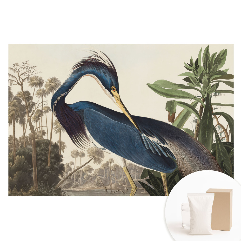 Netkaná fotografická tapeta Exotický vták na pozadí vegetácie