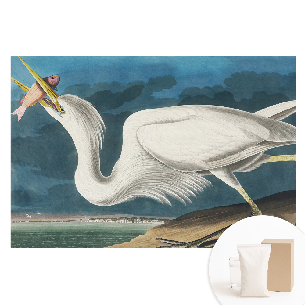 Veľkoplošná fototapeta na stenu Vtáčia elegancia a príroda