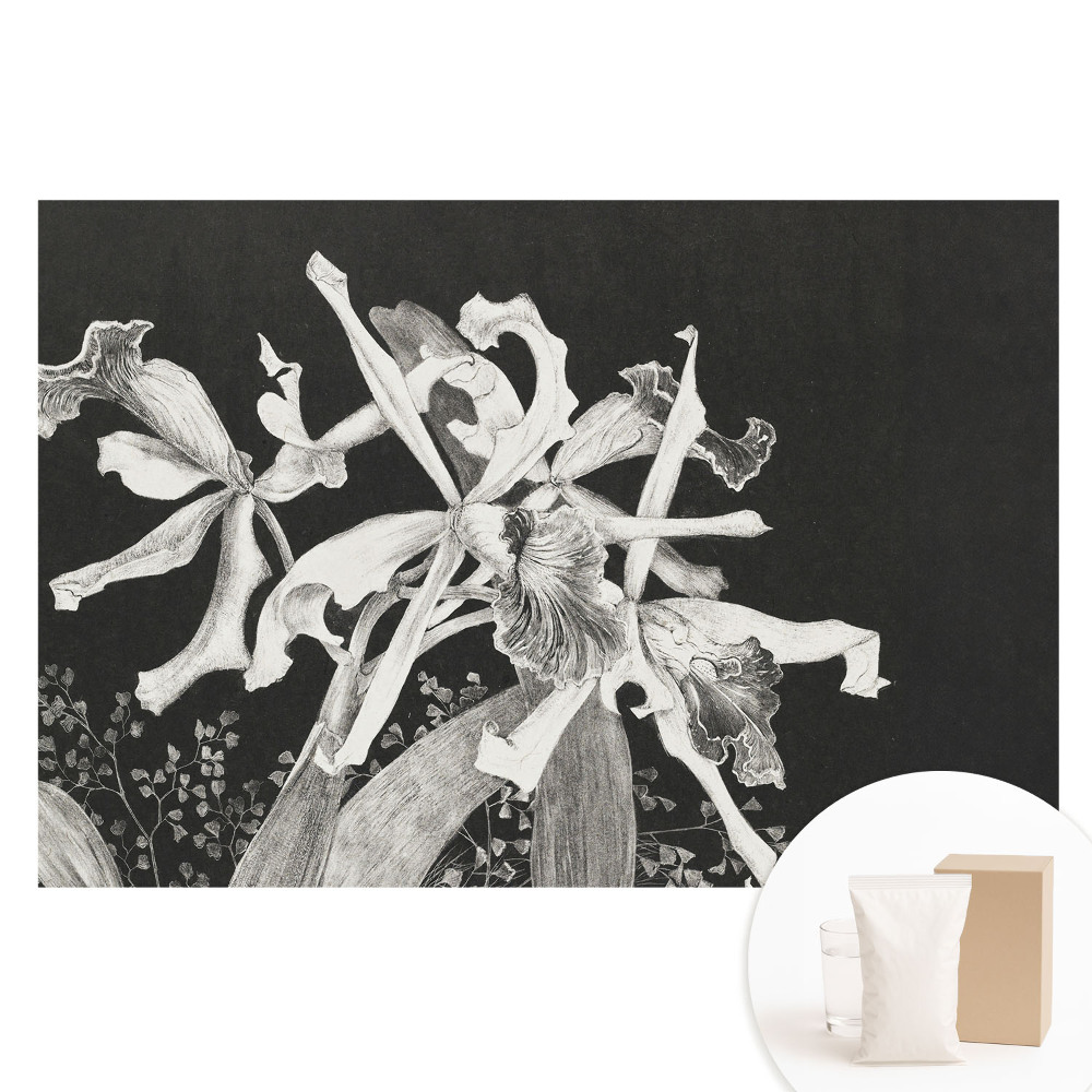 Fotografická tapeta na netkanej textílii Elegantné kvety na tmavom pozadí