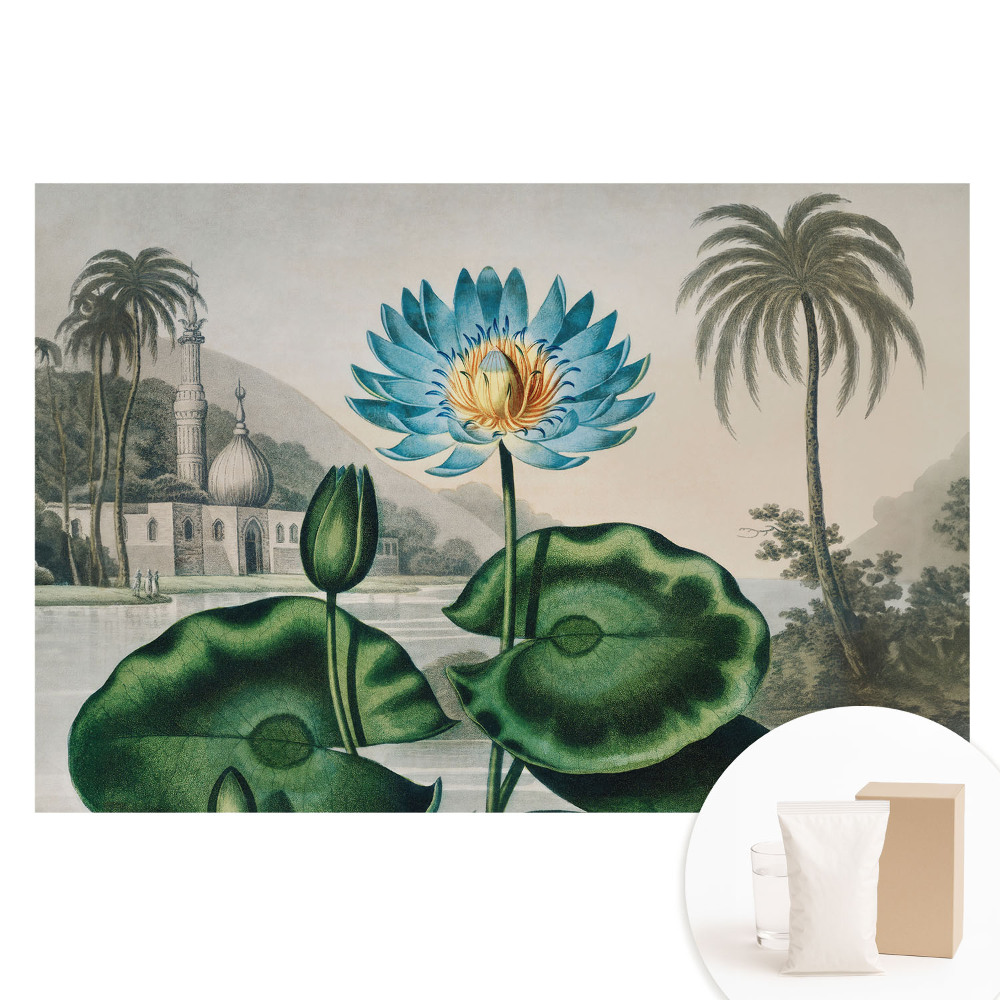 Netkaná tapeta s potlačou Exotická ľalia v tropickom prostredí