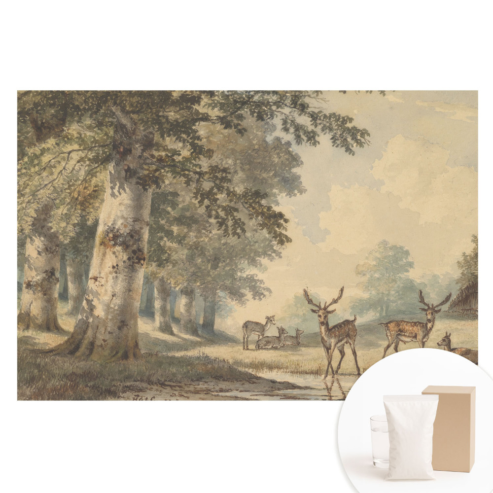 Fototapeta s potlačou na netkanej textílii Lesný jeleň pri potoku