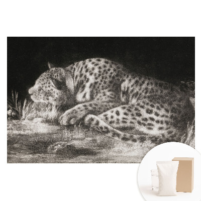 Fototapeta na netkanej textílii Leopard odpočíva v tráve
