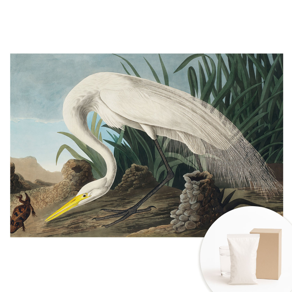 Netkaná tapeta Volavka v tráve