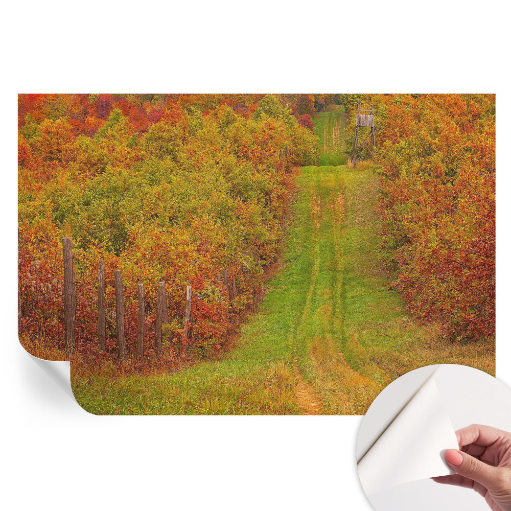 Samolepiaca fotografická tapeta Jesenné farby