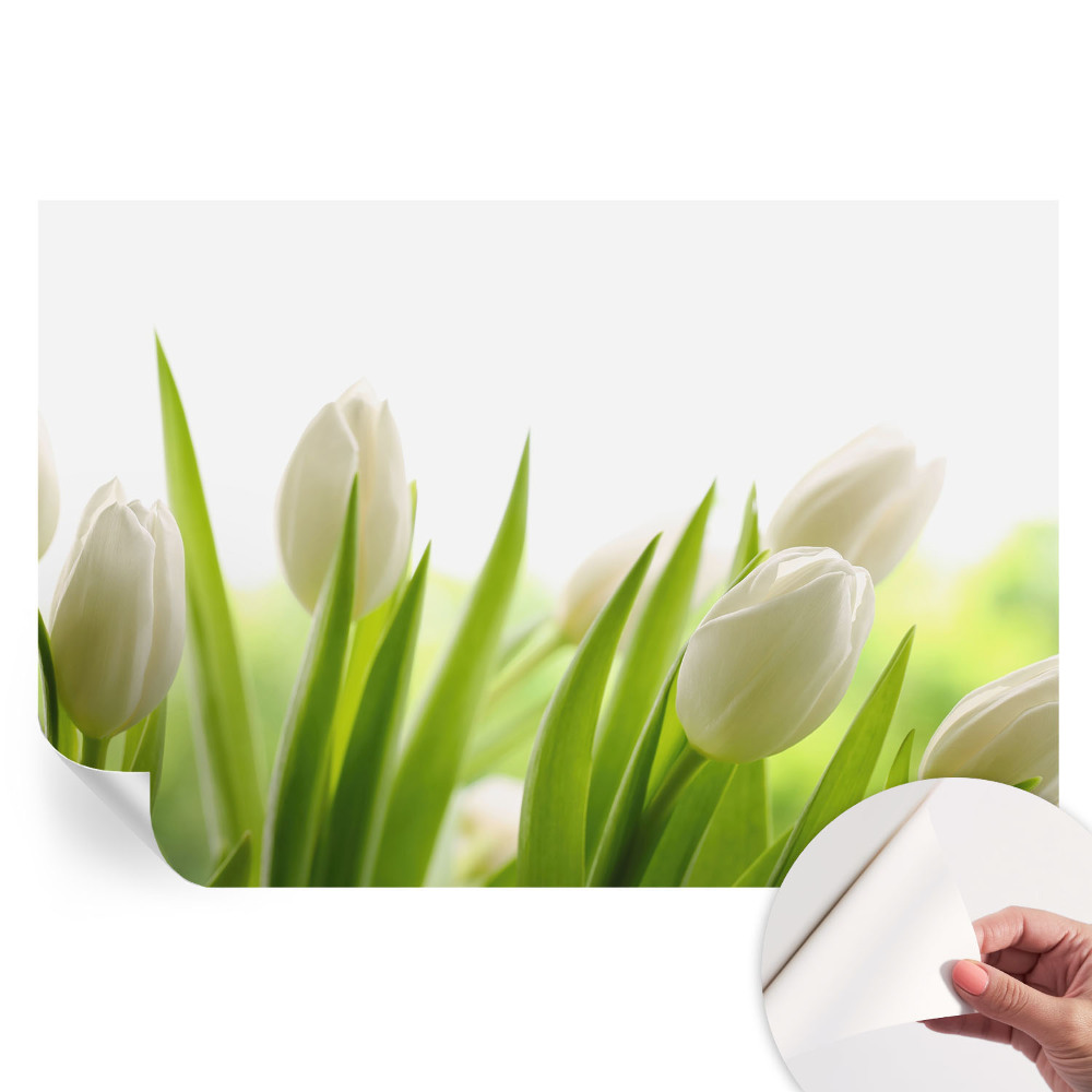 Samolepiaca fototapeta Biele tulipány