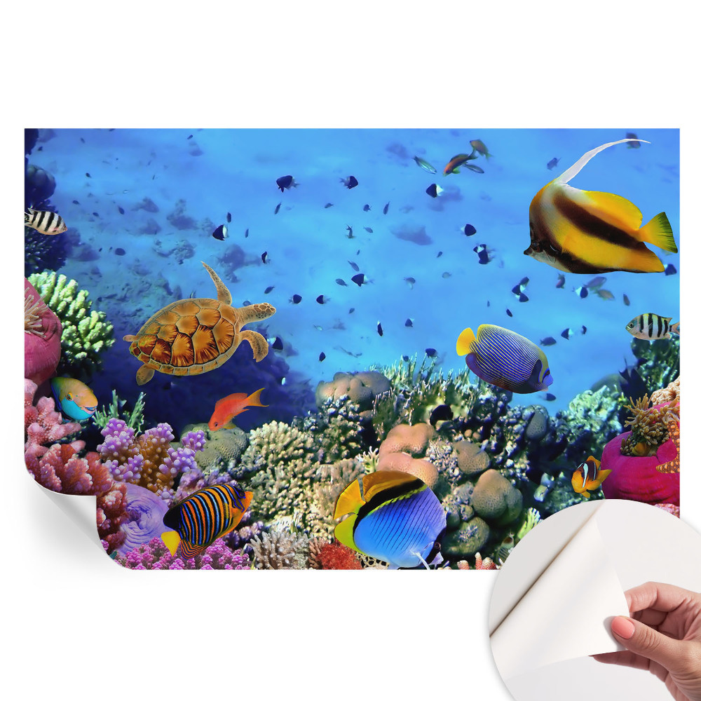 Moderná fototapeta do obývačky Koralový útes