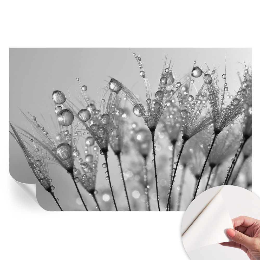 Samolepiaca nástenná maľba Mokrá pochúťka