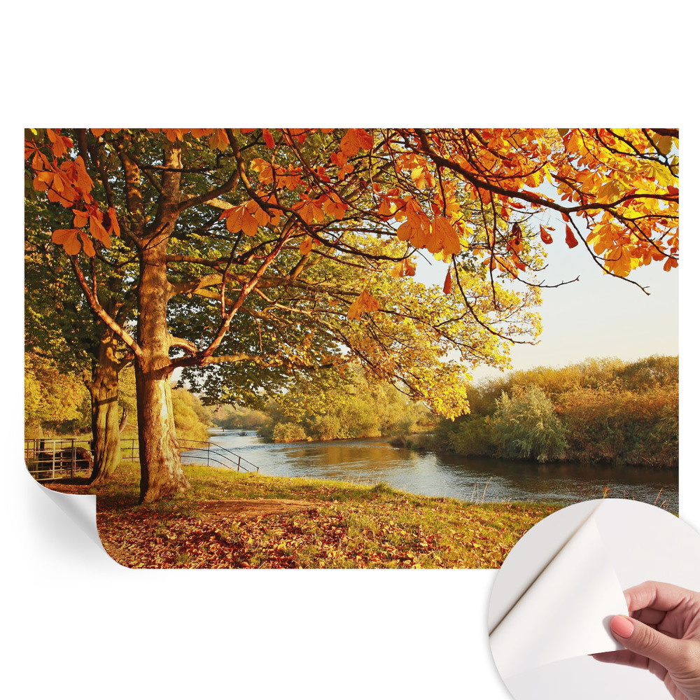 Moderná fototapeta do obývačky Jeseň na pobreží