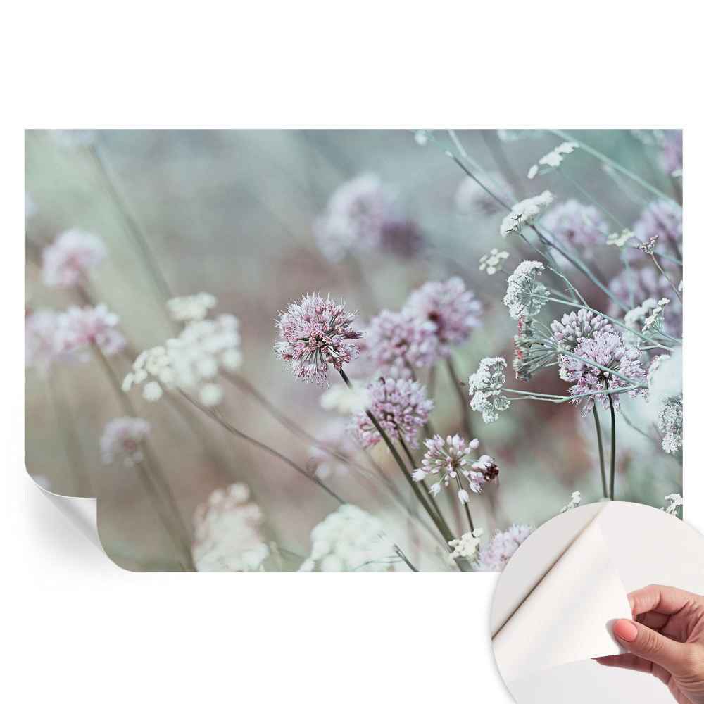 Moderná fototapeta do obývačky Divoké kvety