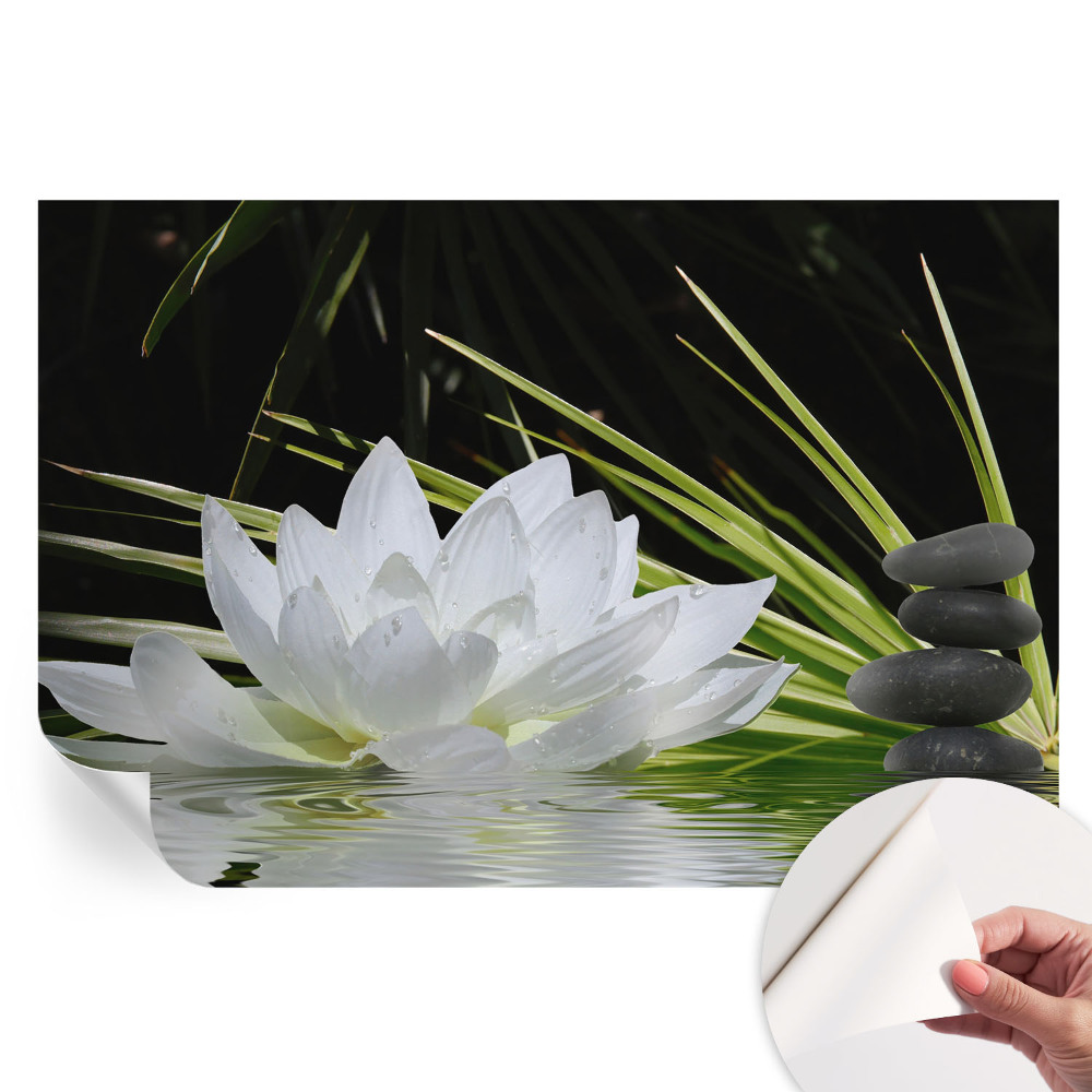 Samolepiaca fotografická tapeta Meditácia s ľaliou