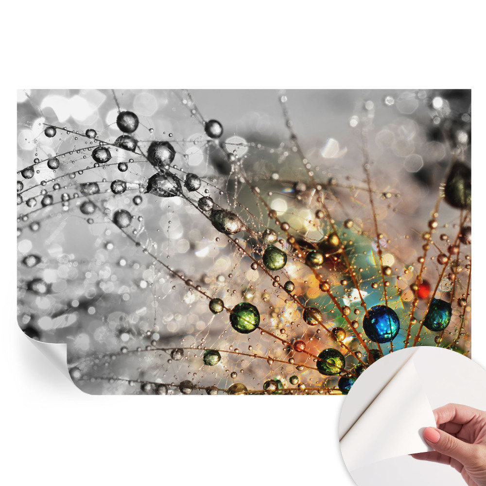 Samolepiaca nástenná maľba Osviežujem šperky rosou