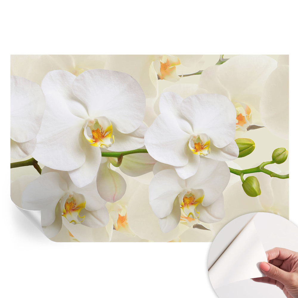 Samolepiaca fotografická tapeta Kvetinové bohatstvo