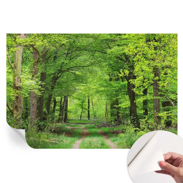 Samolepiaca tapeta do obývačky Lesný chodník