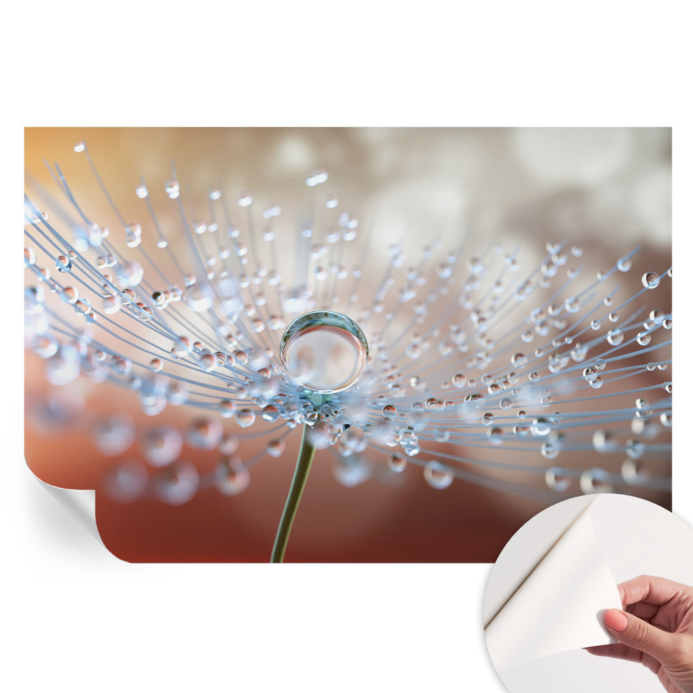 Samolepiaca fotografická tapeta Kvapka na púpave