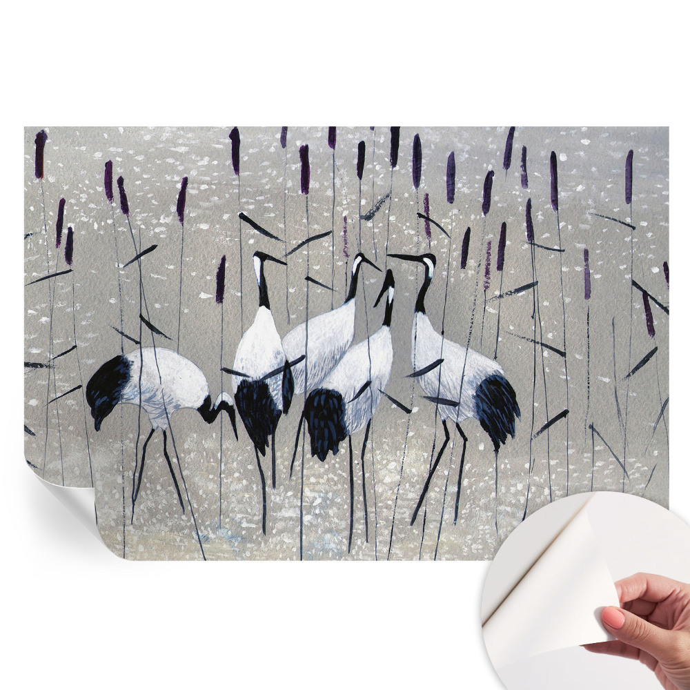 Samolepiaca fotografická tapeta Harmonické žeriavy