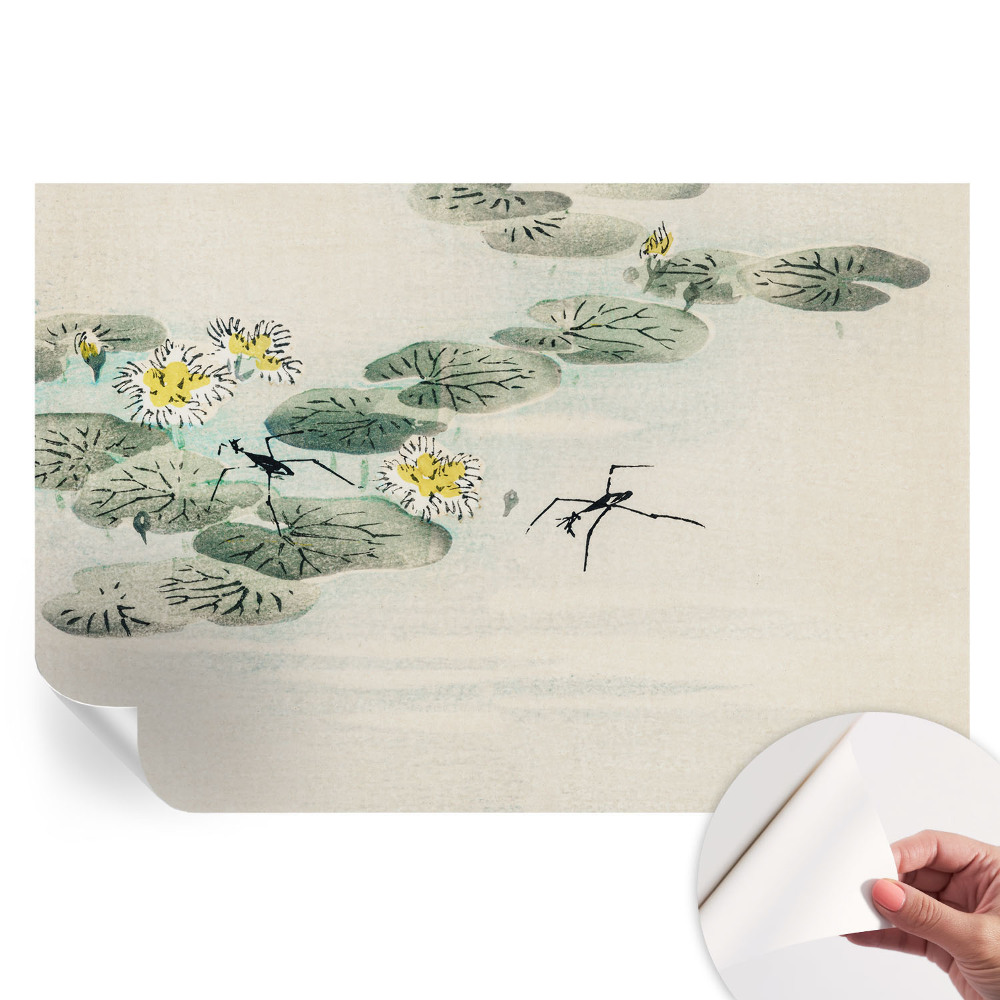 Samolepiaca fotografická tapeta Pokojná voda