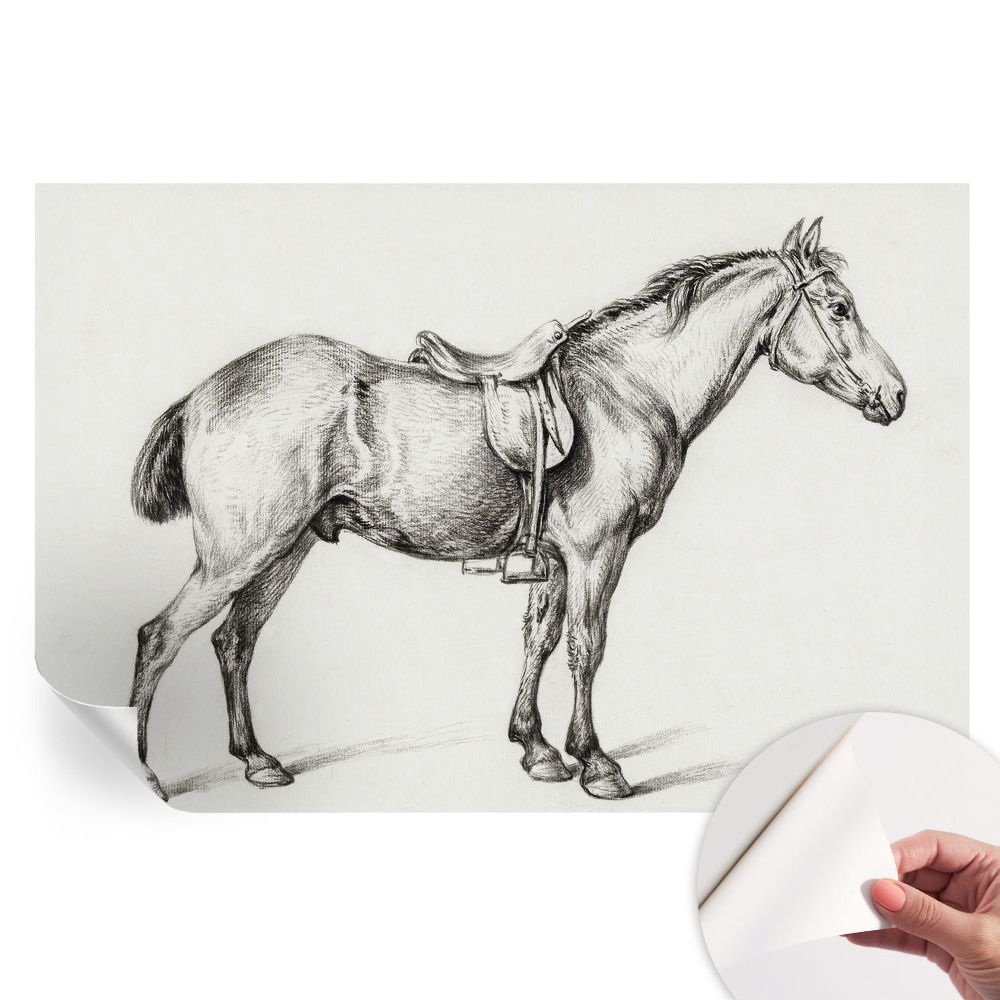 Moderná fototapeta do obývačky Náčrt koňa