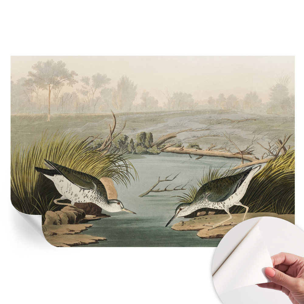 Samolepiaca tapeta do obývačky Pokojná krajina