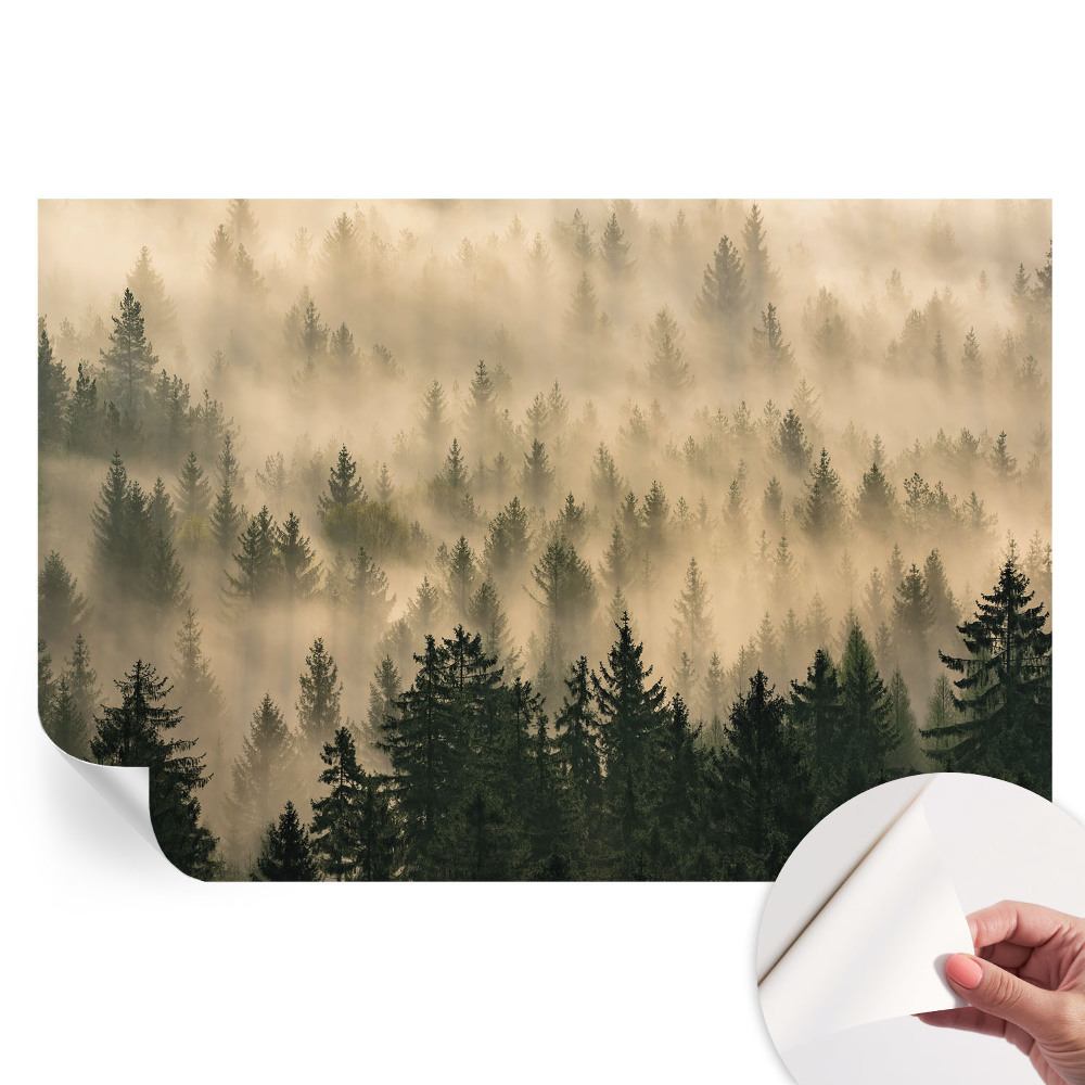 Moderná fototapeta do obývačky Lesná hmla