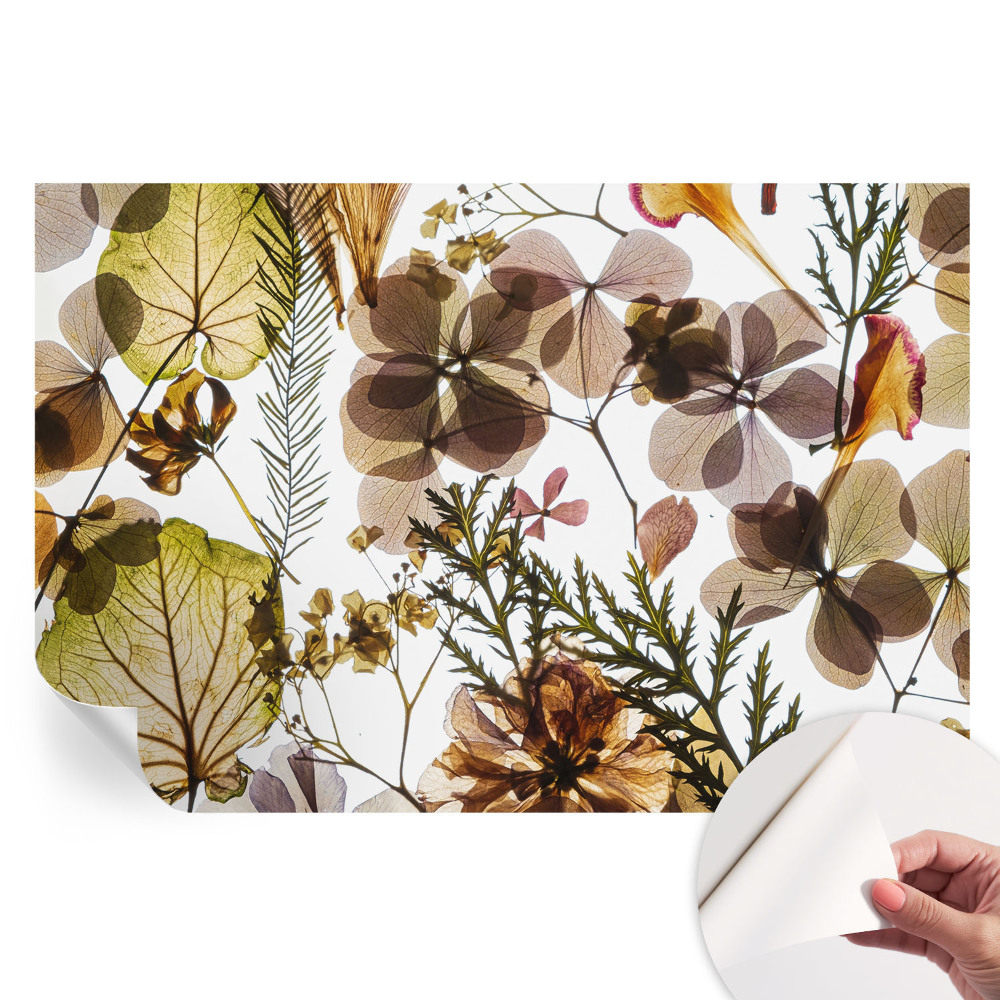 Samolepiaca fototapeta do spálne Prírodné zloženie