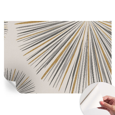 Samolepiaca nástenná fototapeta Geometrické vejáre