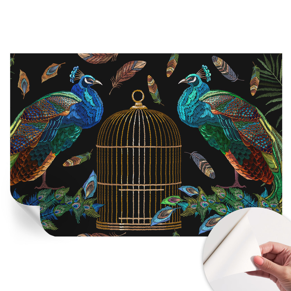 Samolepiaca fototapeta do spálne Obrázok páva